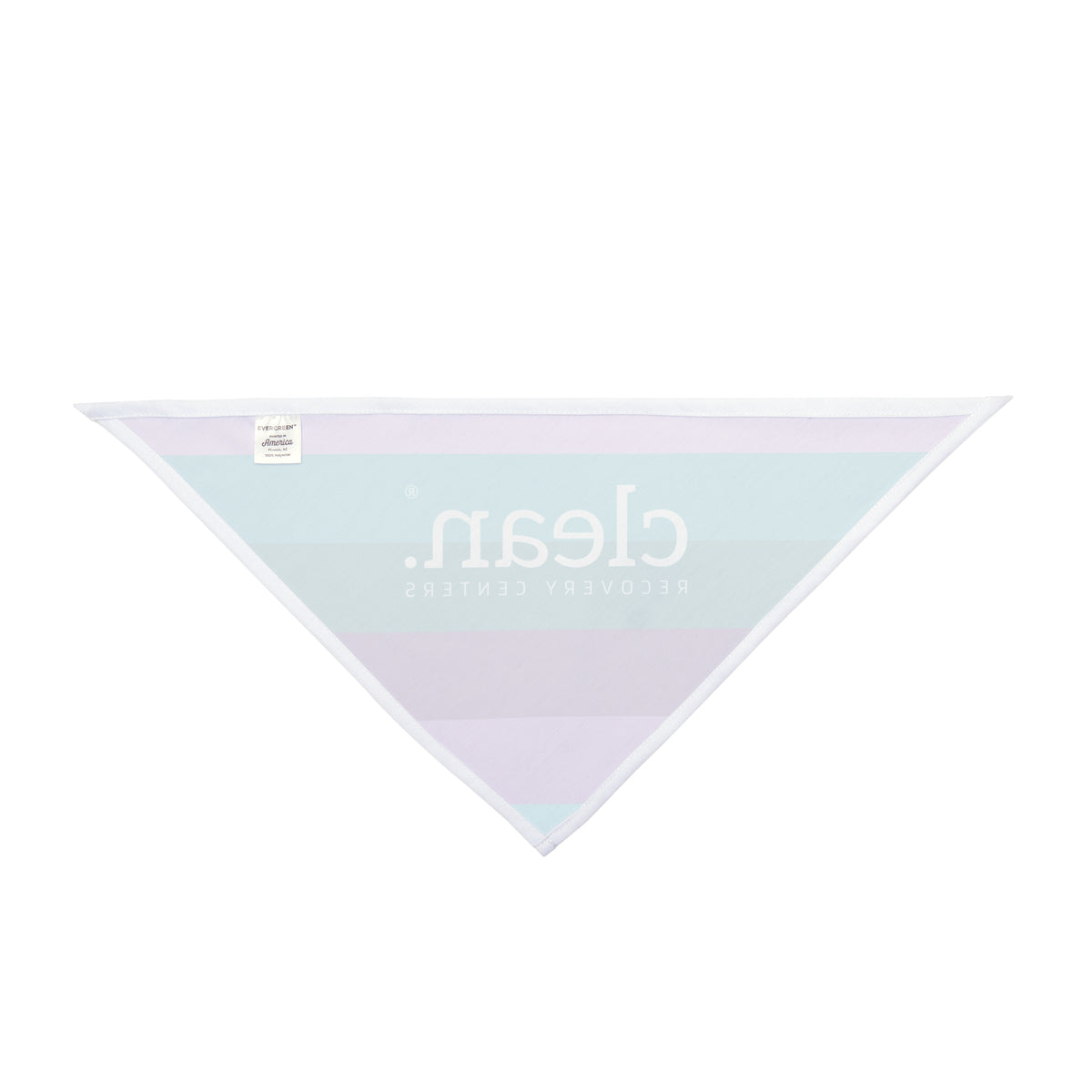 Clean Coastal Colorblock Pet Bandana