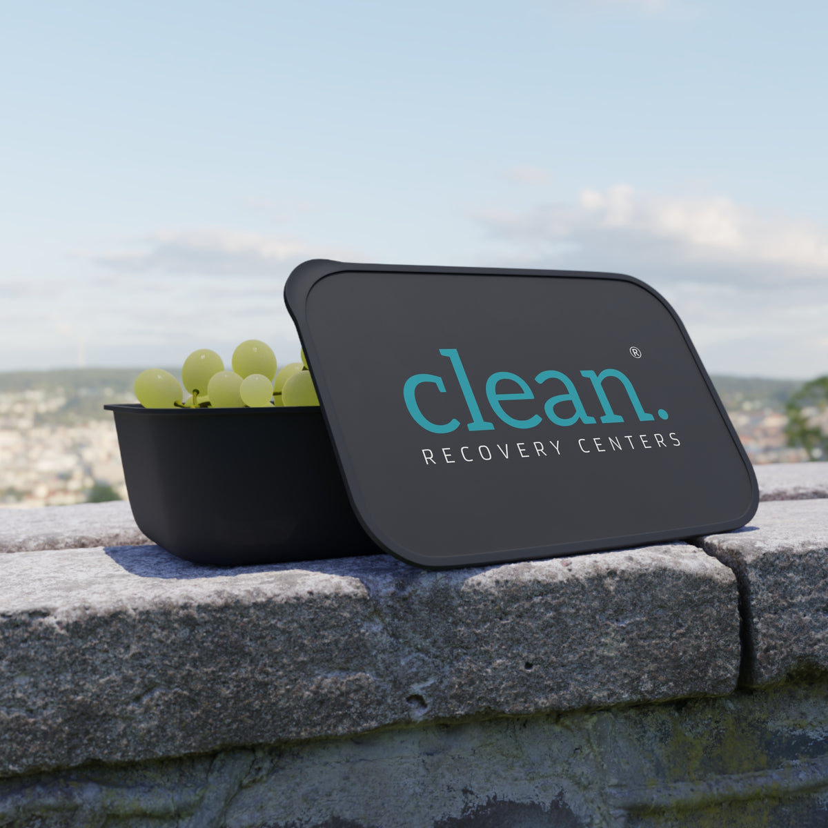 Clean Logo PLA Bento Box with Utensils