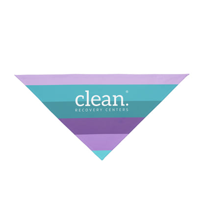 Clean Coastal Colorblock Pet Bandana