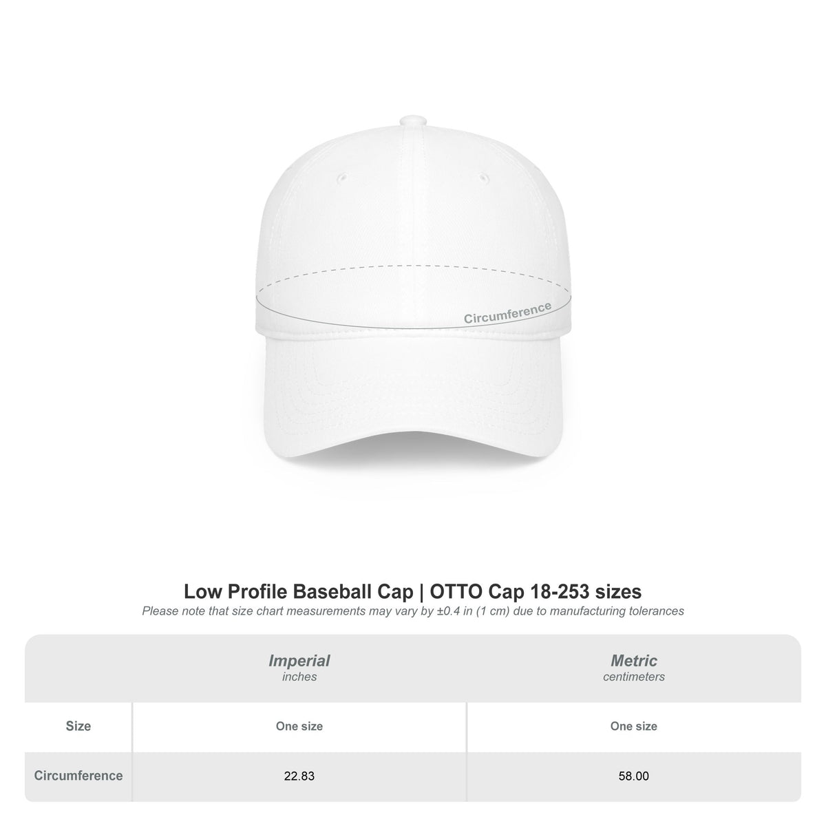 Clean Logo Low Profile Baseball Cap
