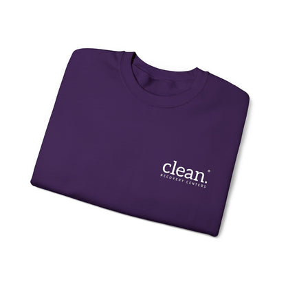 Clean Logo Embroidered Crewneck Sweatshirt