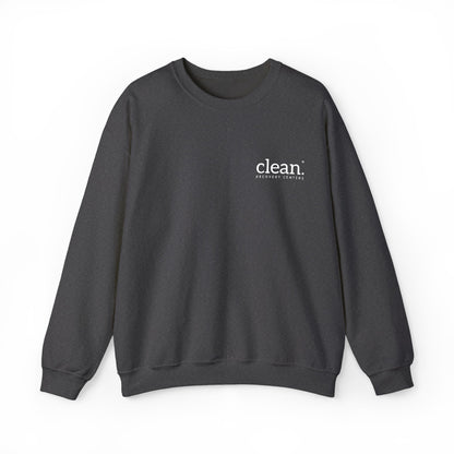 Clean Logo Embroidered Crewneck Sweatshirt
