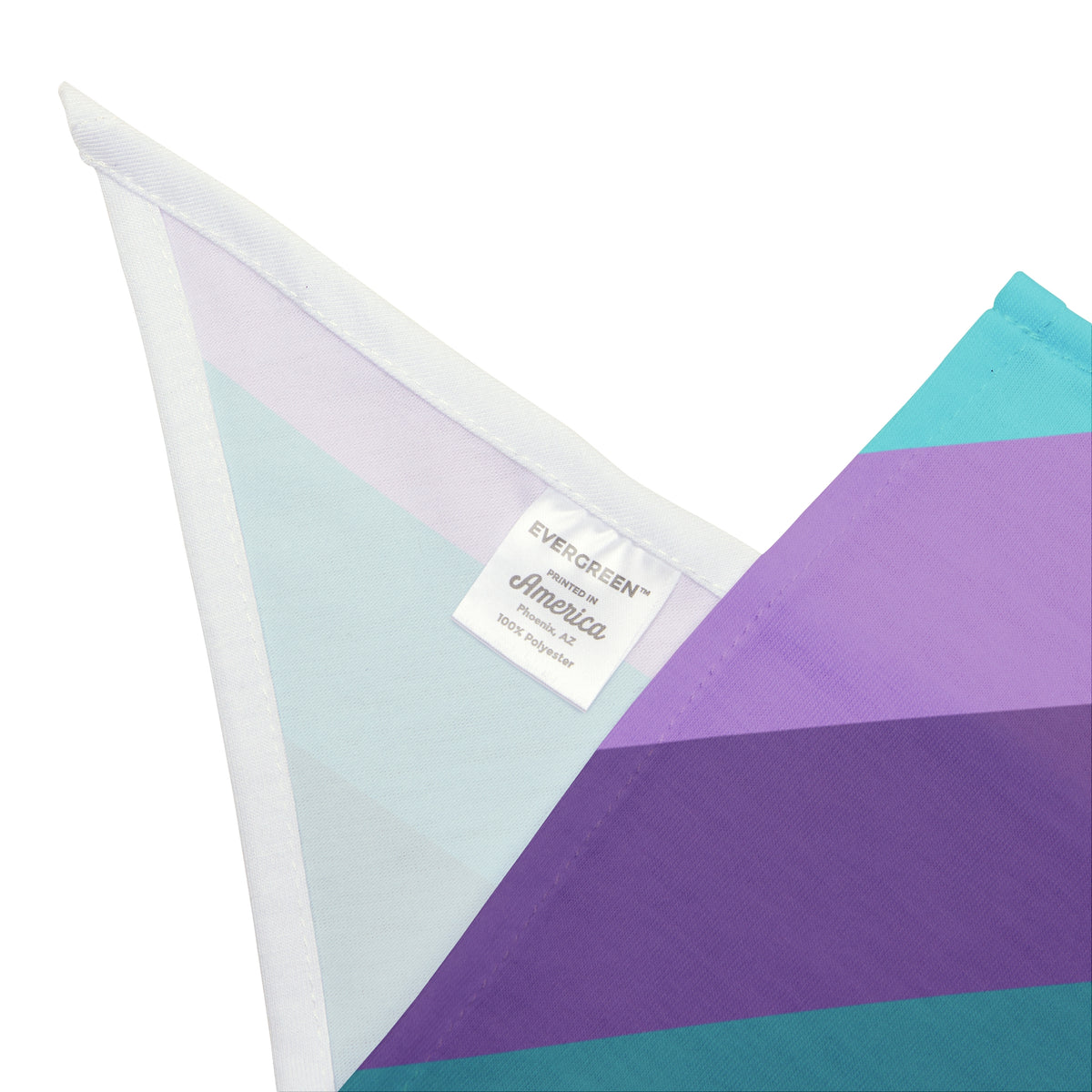 Clean Coastal Colorblock Pet Bandana