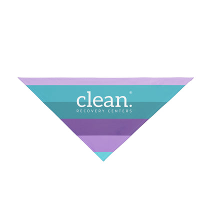 Clean Coastal Colorblock Pet Bandana