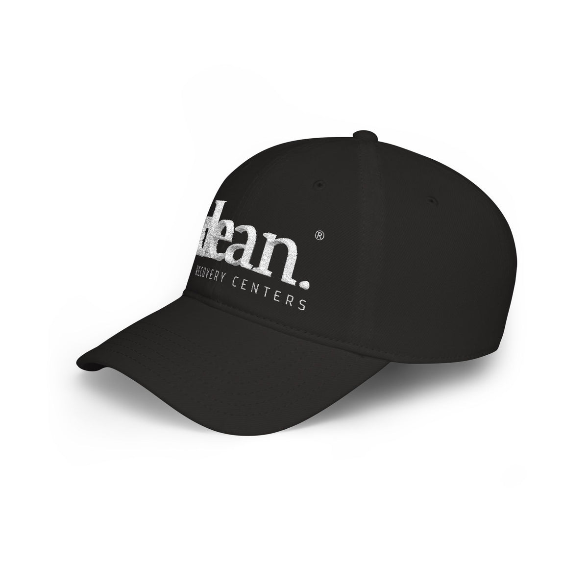 Clean Logo Embroidered Low Profile Baseball Cap