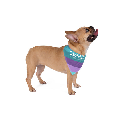 Clean Coastal Colorblock Pet Bandana