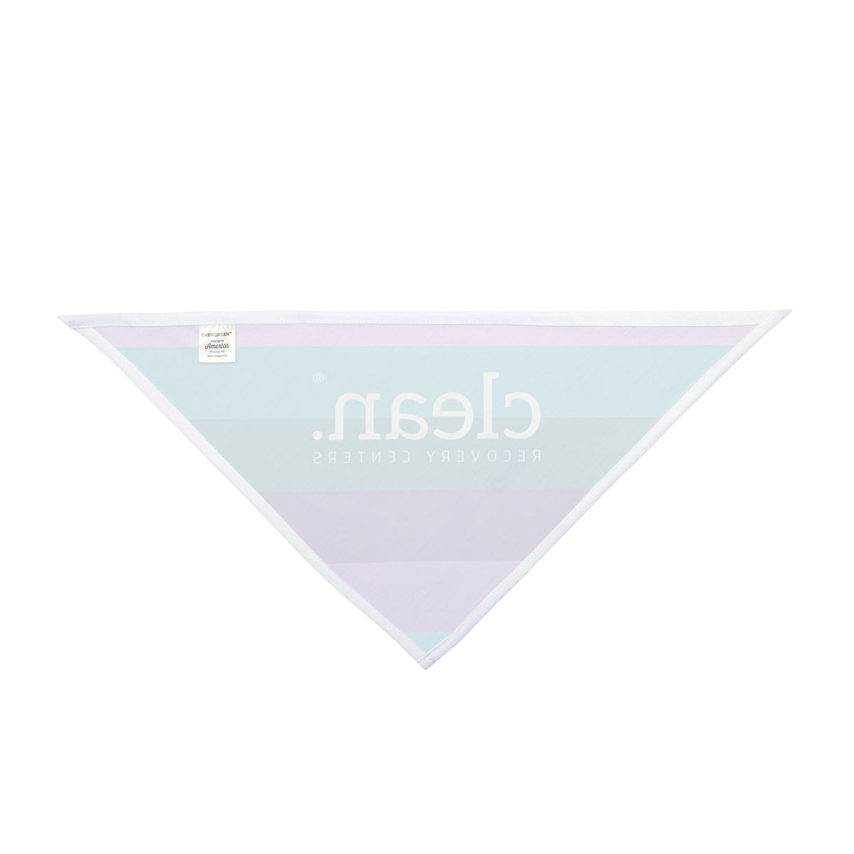 Clean Coastal Colorblock Pet Bandana
